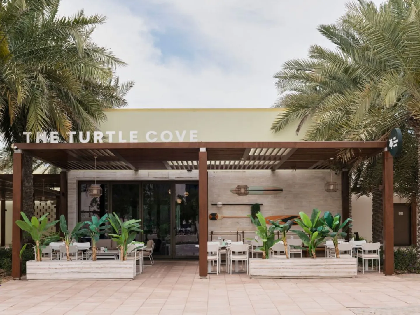 turtle cove featured imnage