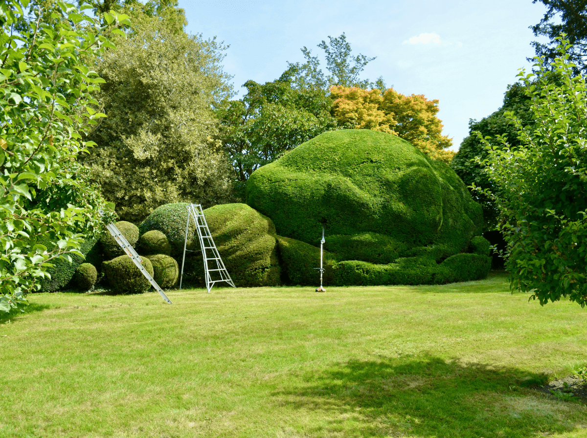 Garden & Landscape Audio Systems